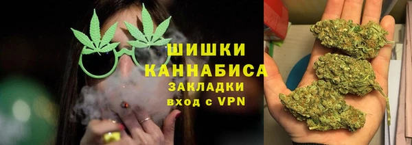 PSILOCYBIN Елизово