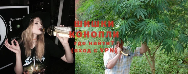 PSILOCYBIN Елизово