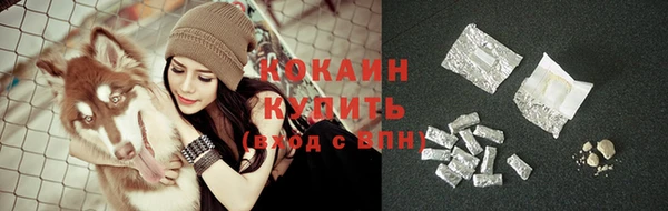 PSILOCYBIN Елизово