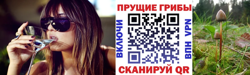 Галлюциногенные грибы мухоморы  даркнет телеграм  Рыбинск 