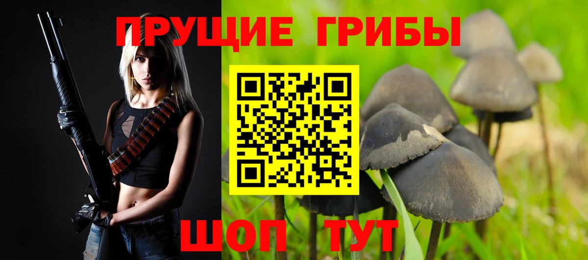 Галлюциногенные грибы Psilocybe Рыбинск